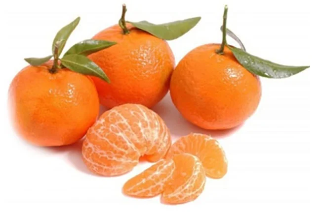 Best Quality Special Pakistan sweet Pure Organic Mandarin Orange tangerine Factory price Fresh