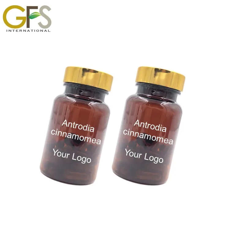 Оптовая продажа безвредные продукты Antrodia camphorata