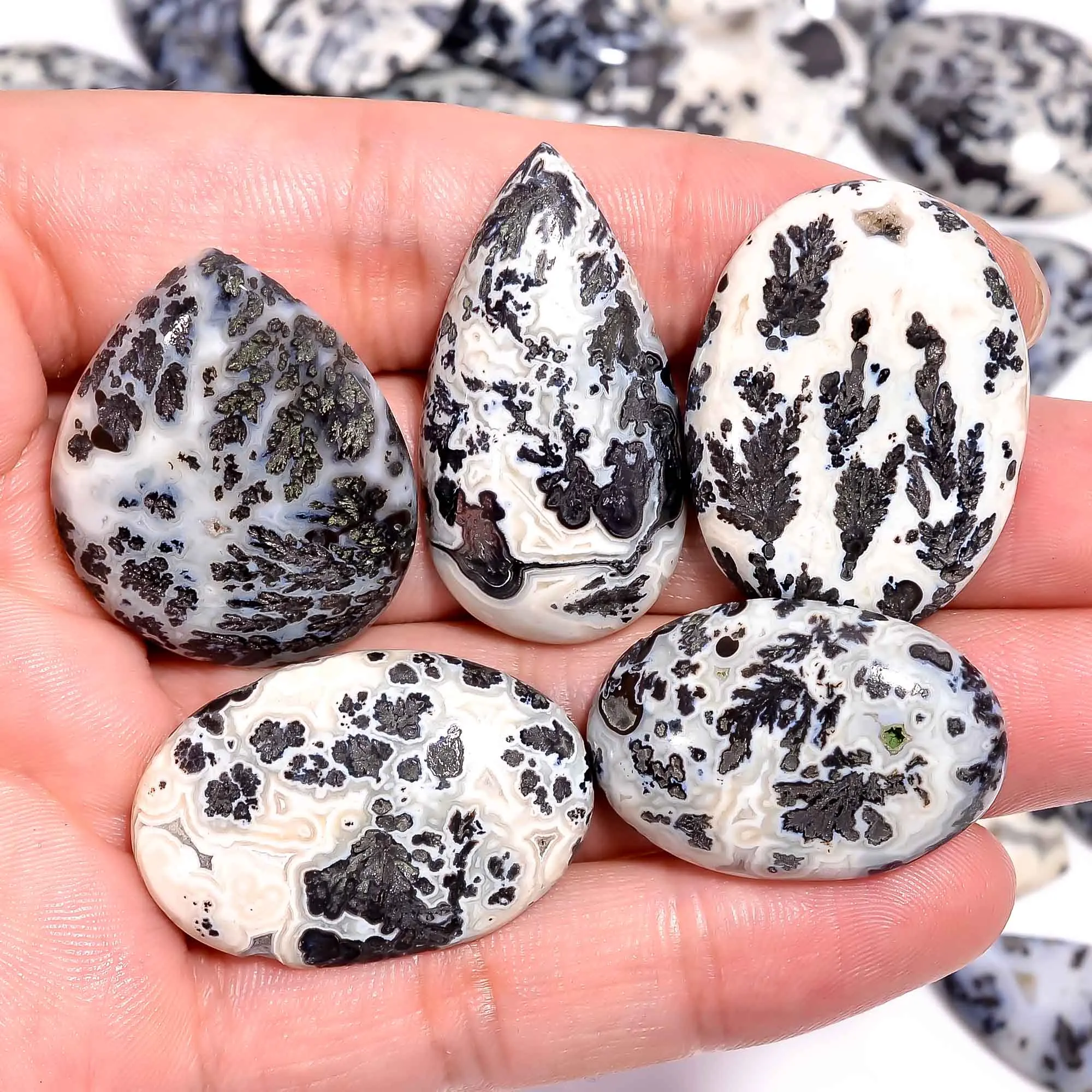 Natural Dendrite Parallel Loose Designer Gemstone Cabochons Wholesale Lot at best price and having best quality also