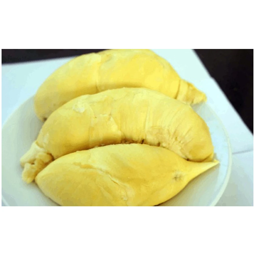 High Quality FROZEN Durian Seedless Cheap Price  Export From Vietnam