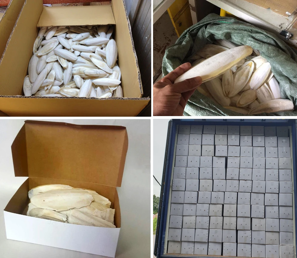 Очищенная обрезанная/НЕОБРАБОТАННАЯ косточка с низкой ценой/Высококачественная Для морской рыбы разных размеров оптом из Вьетнама 2021