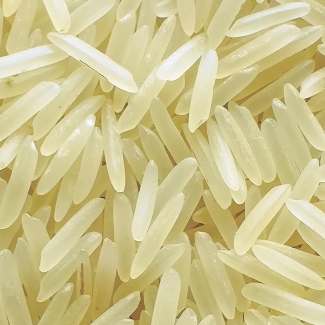 1509 Creamy Sella Rice