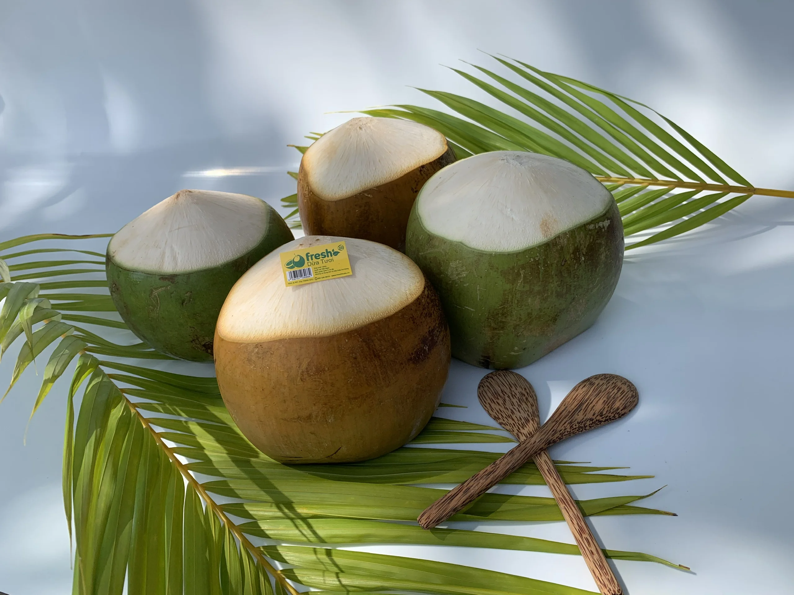 Semi-Husked Young Coconut Cling film wrap Packing Green or red Colours Hat Cut Shape Coconut from Vietnam