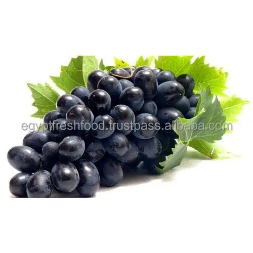 
Fresh Red Grapes ready to export , Yellow Grapes , Seedless Grapes , From Egypt 