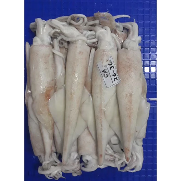 Loligo Squid HACCP Certified Frozen Seafood Supplier