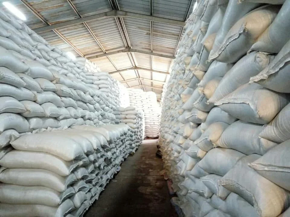 New Crop Wholesale of Sunflower  in Factory Price