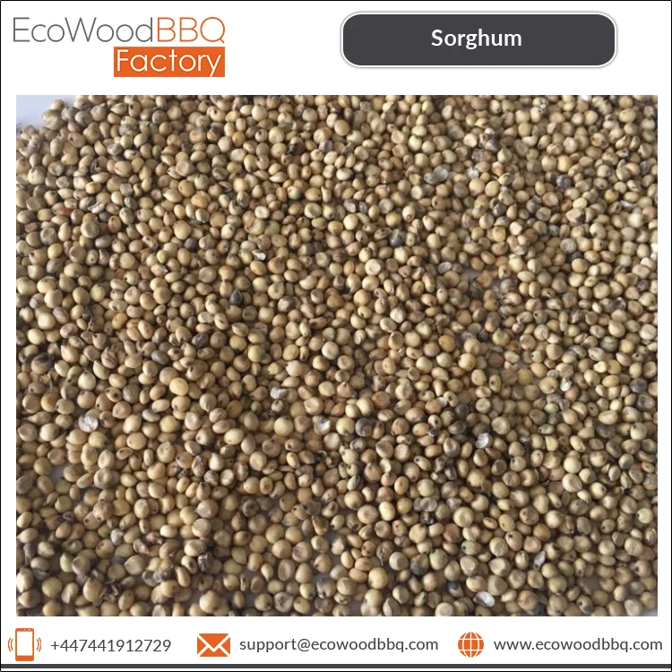 Direct Factory Price 100% Pure Natural Organic Bird Feed Sorghum Grains Kernel Seeds