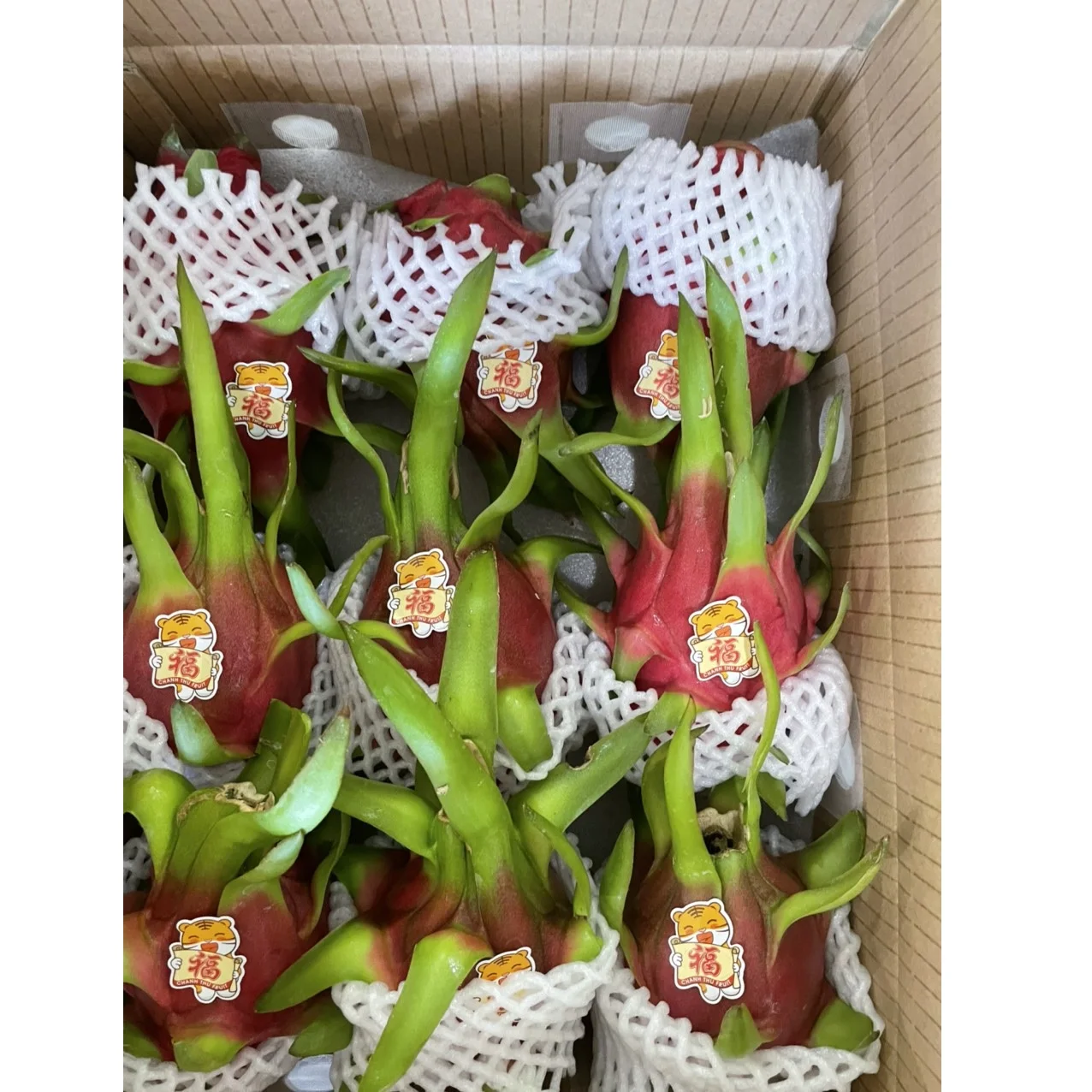 Лучший продукт, красный/белый цвет, 24 месяца, фрукты замороженного дракона со вкусом на каждый год, экспорт из Вьетнама