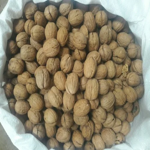 
Walnuts In Shells For Sale 