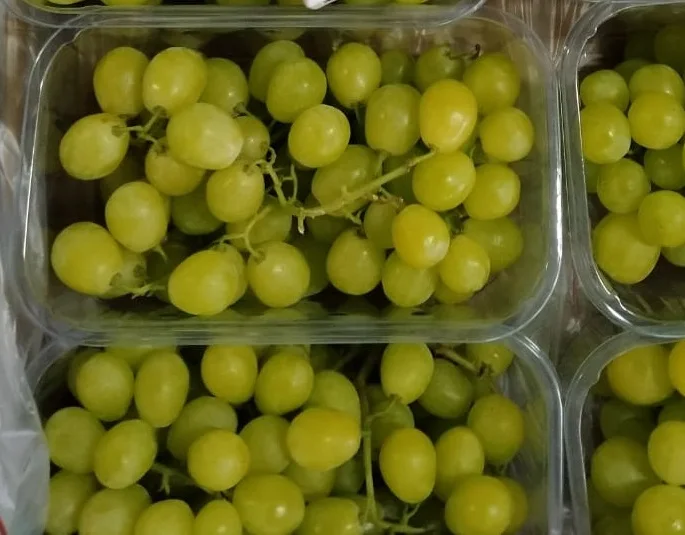 Fresh Egyptian grapes to export to China