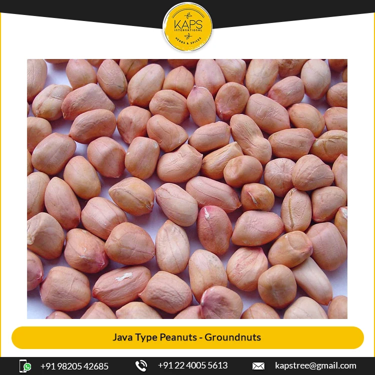 Заводской Прямой поставщик сырых сушеных арахиса Java-типа/арахиса для продажи