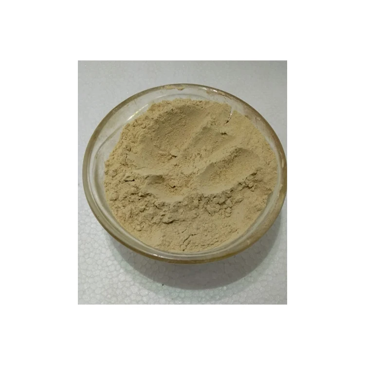 Best Indian Manufacturer Globally Selling Pure 100% Natural & Organic Piper Nigrum Extract Herbal Powder for Wholesale