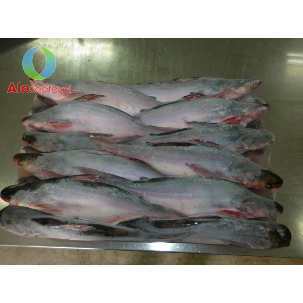 Hot selling cheap price with high quality Frozen Fish Pangasius Skin from Vietnam seafood company