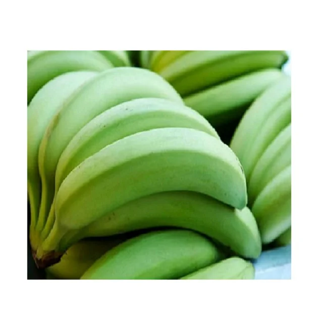 Новейший Урожай Cavendish Banana-высококачественный банан из Вьетнама-оптовая продажа для Banana GLOBAL