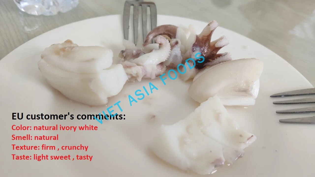 (NEW PRODUCT) Cuttlefish/Frozen Whole Cleaned Cuttlefish For Sale in VietNam