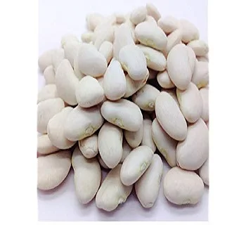 Cheap Quality White Butter Beans For