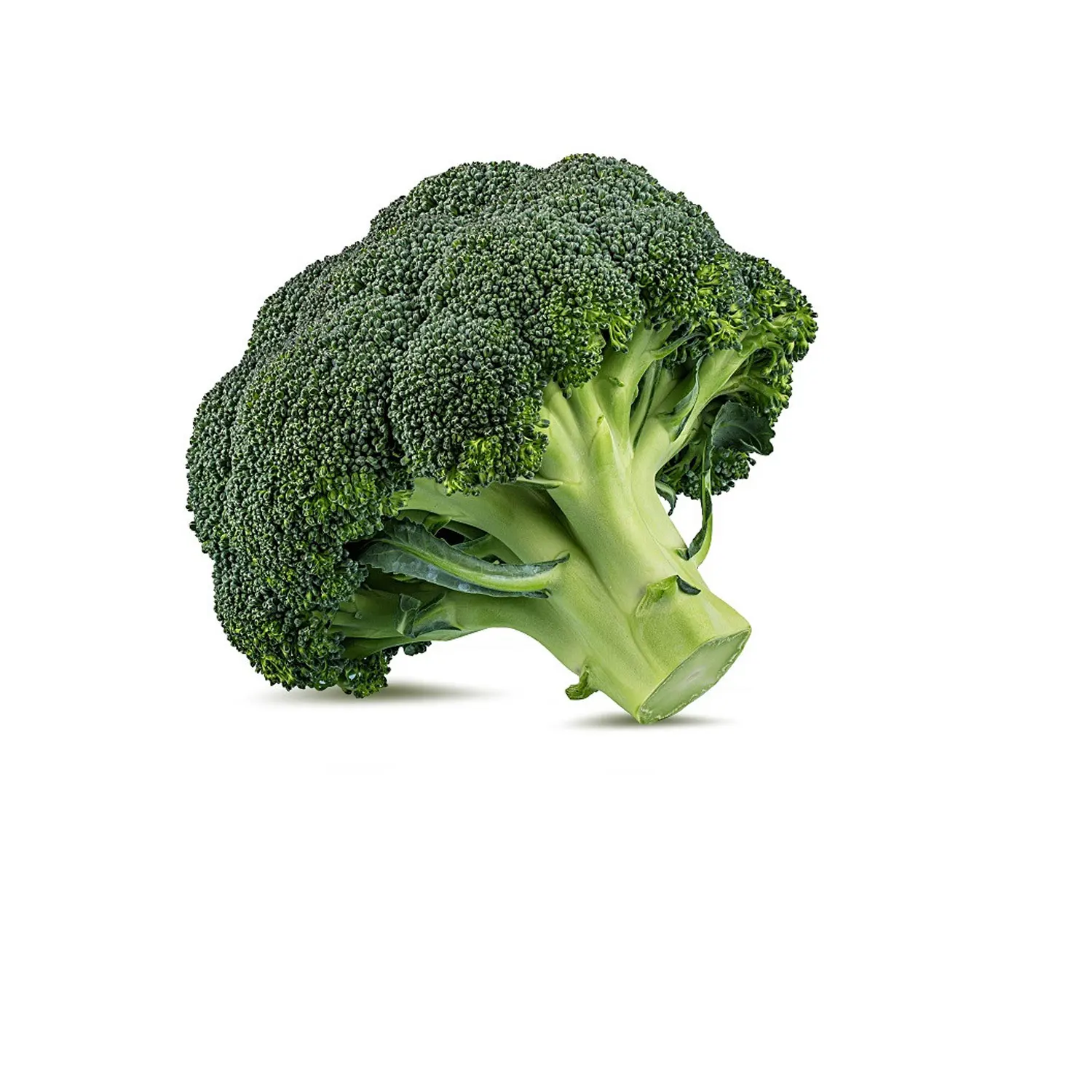 Горячая Распродажа высокое качество свежий брокколи новый урожай хорошая цена овощи