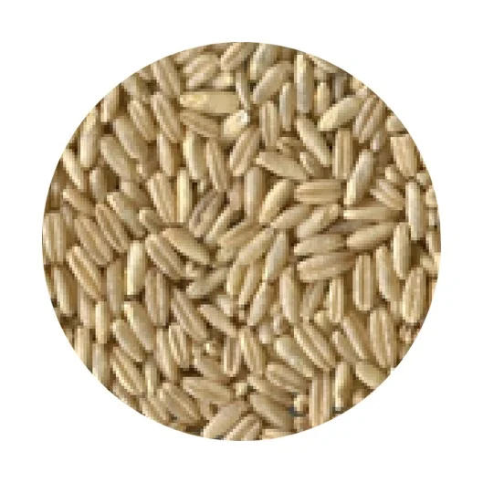 
Organic Rolled Best Selling Forage Oat For Human Consumption 