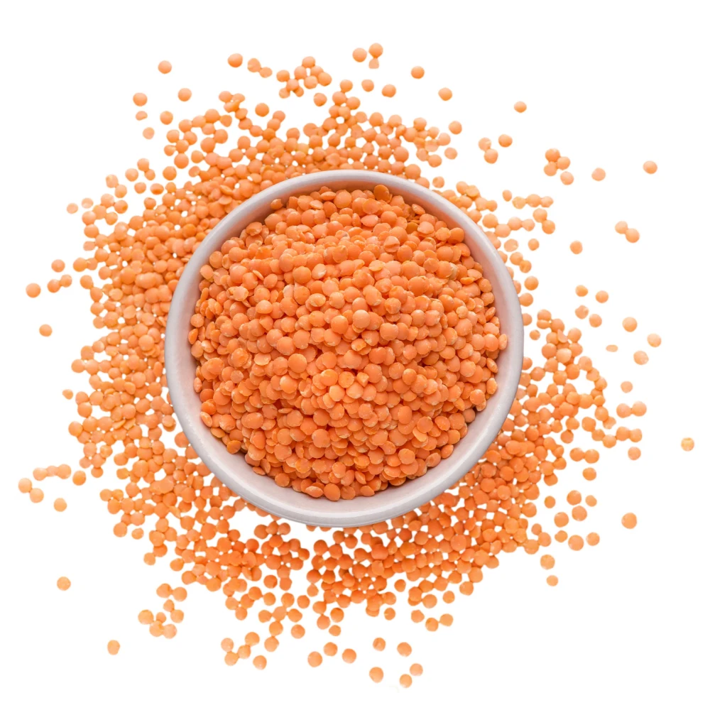 New Arrival masoor dal(red lentils) In Stock
