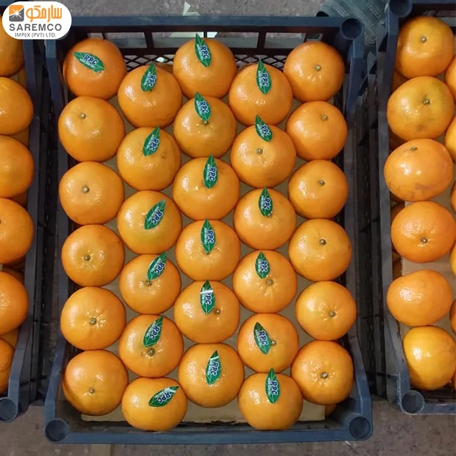 Кожура из искусственной кожи мандарин оранжевый Пакистана/Pulpy
