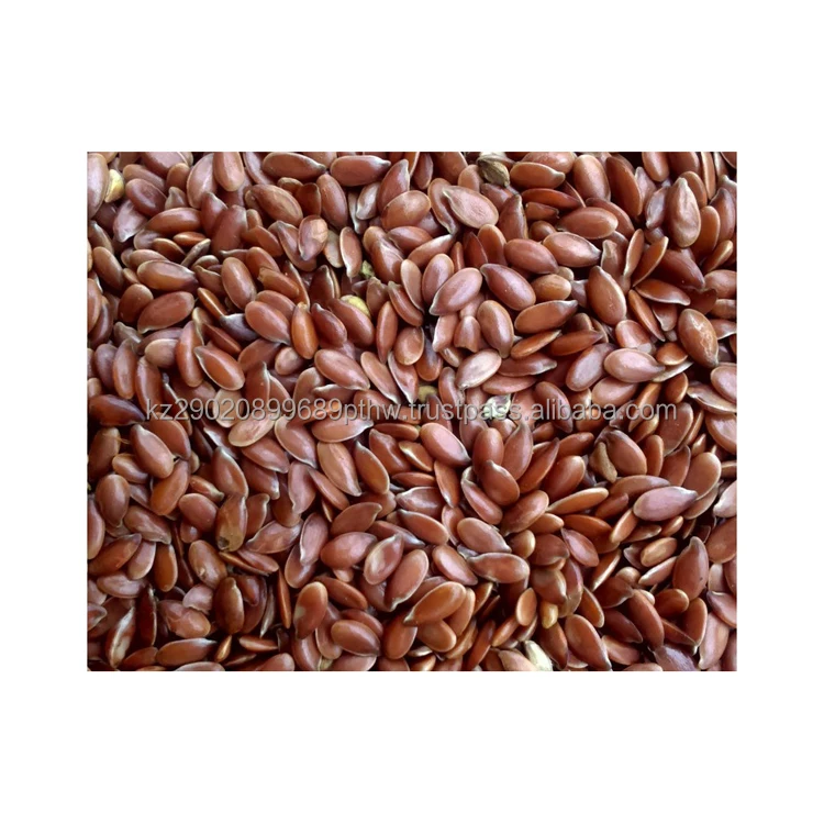 Flax oil culture designed for the production of linseed oil and cake organic natural wholesale flax seed