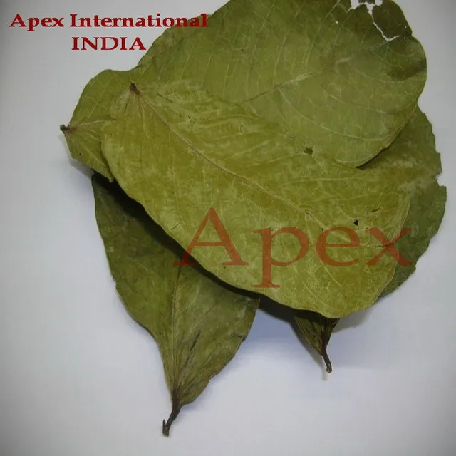 CASSIA ALATA LEAVES DRIED AND  T CUT