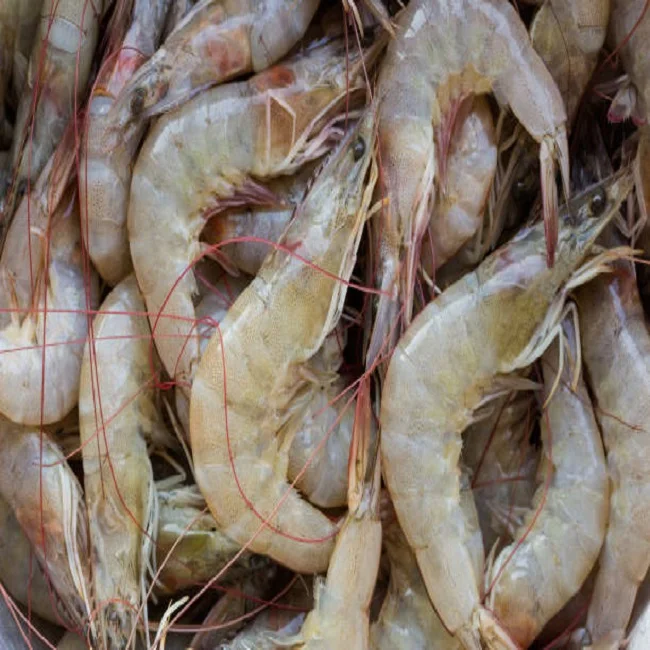 
Good Quality Hot sale Cheap IQF frozen hlso black tiger shrimp 