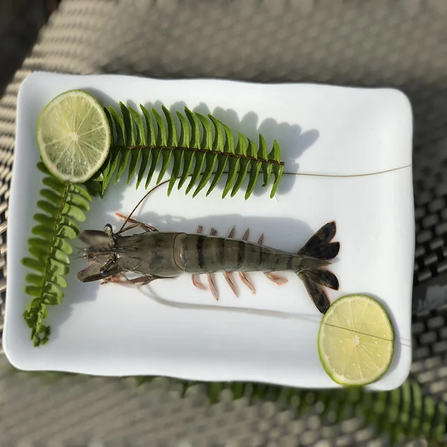 
Black Tiger Shrimp From Viet Nam 