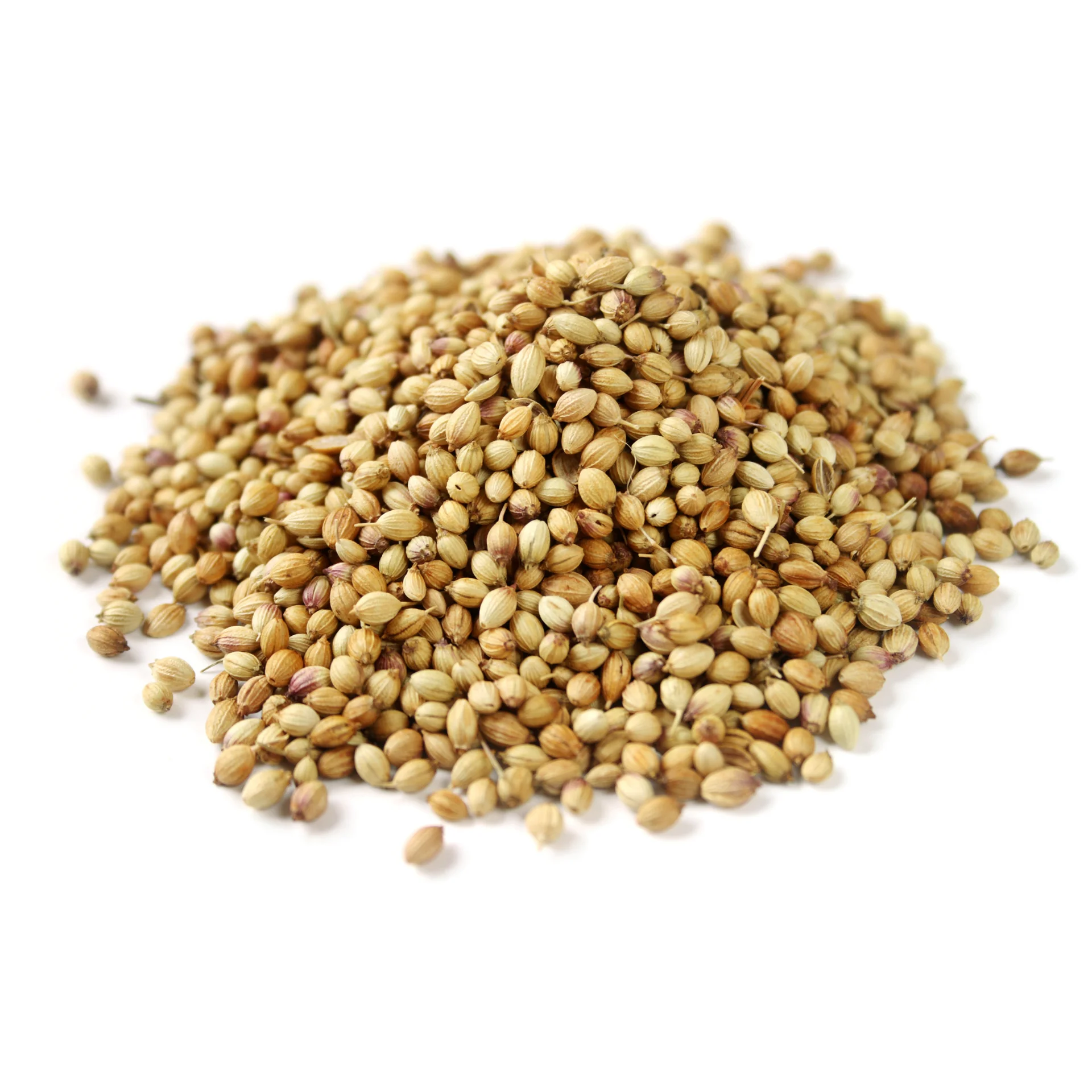 Coriander seeds - High quality