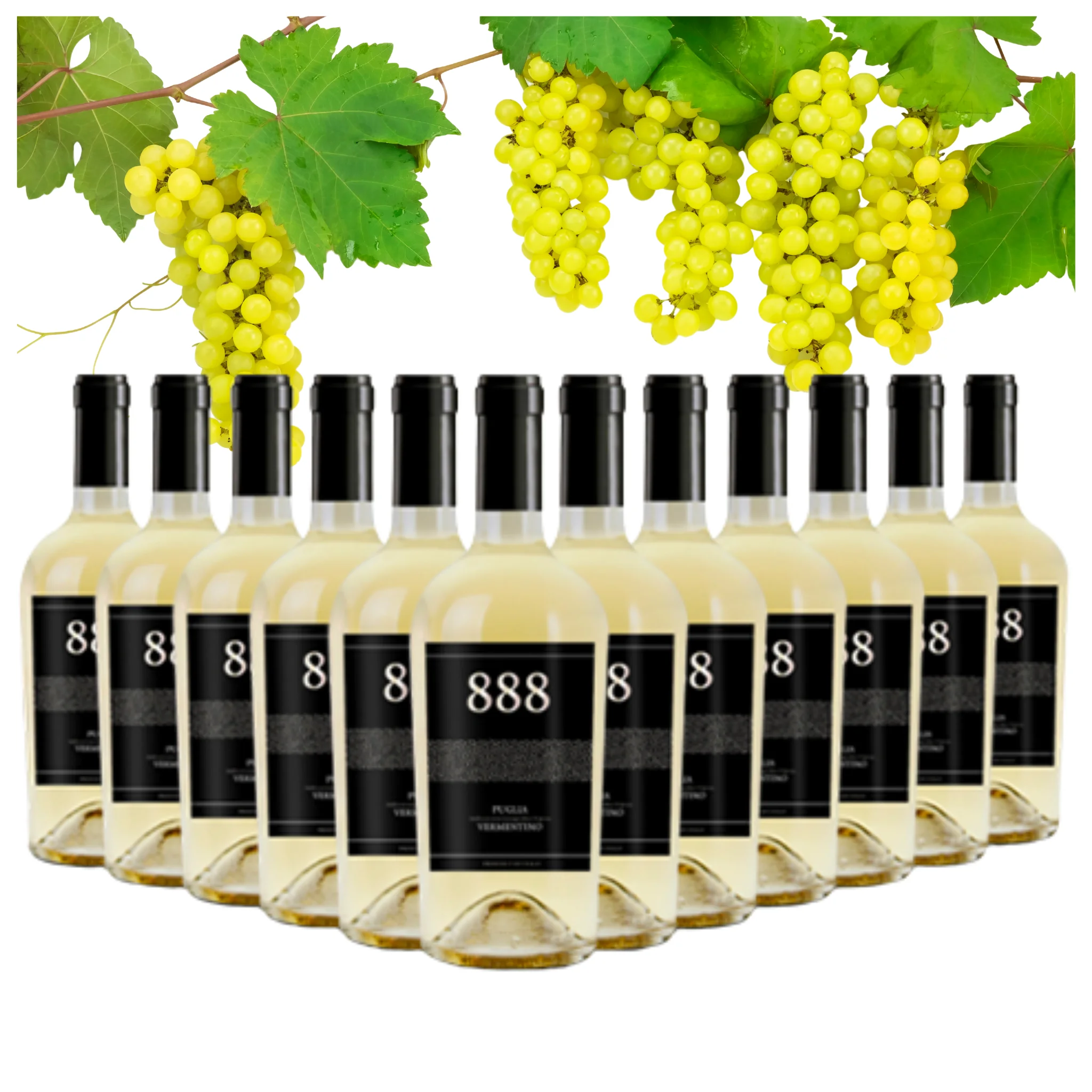 Dropship White Wine Italy - Vermentino Puglia IGT 888 - White Wine bottles 750 ml - Alcohol wine 12.5% for export