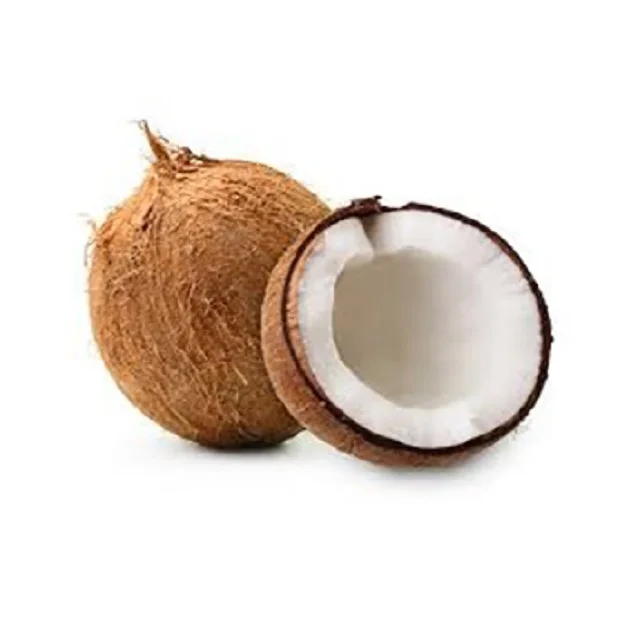 Grow Some Coconuts! - Coconut from India
