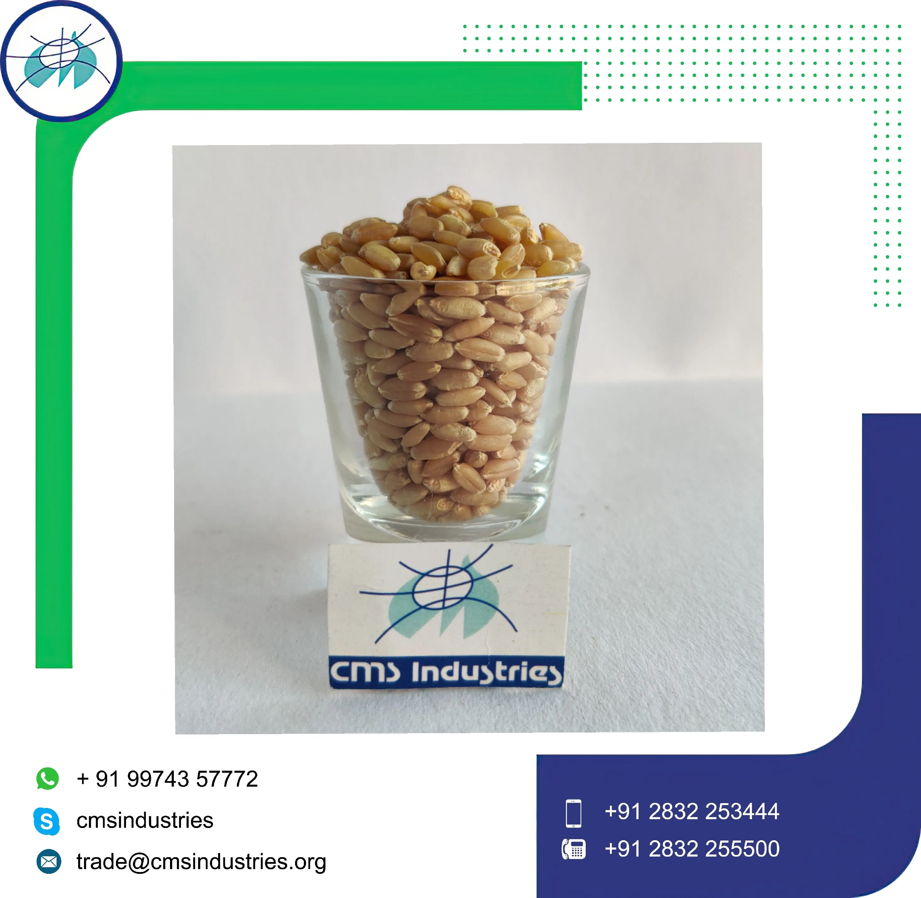 Великолепная Пшеница локвана