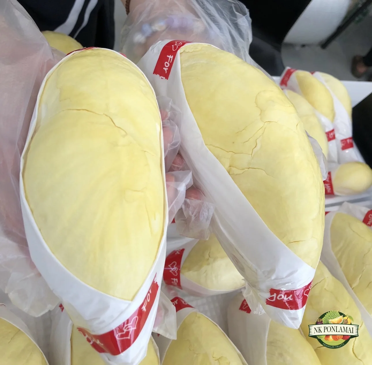 Fresh Durian Sweet Taste 500g Per Pack 100% Natural Premium Quality Durian From Thailand