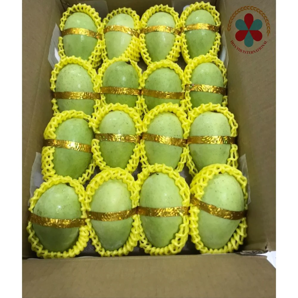 High Quality Globally Selling Fresh Mango from VietNam with  competitive price export for European and Japan  Free sample