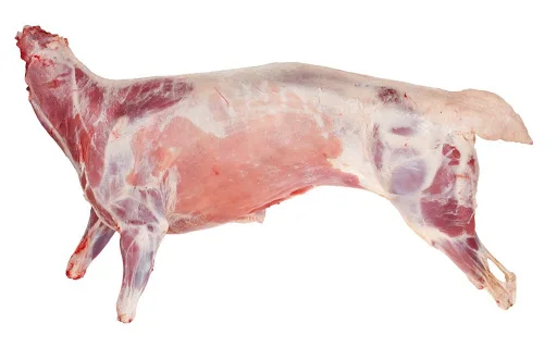  A Grade Quality Wholesale Premium Frozen Meat/Mutton/Lamb Carcass