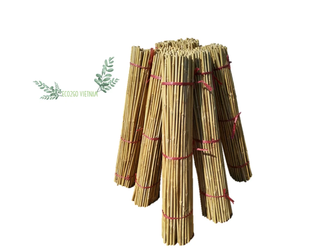 Wholesale Cheapest Price 2024 Bamboo Stakes / Bamboo Canes/ Bamboo Stake Gardening Tonkin High Quality Made in Eco2go Vietnam