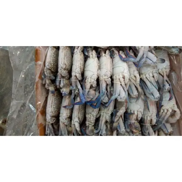 Поставщик морепродуктов/голубой плавательный краб доступен для импортеров