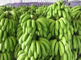 Top Grade Fresh Bananas For Competitive Sale Price