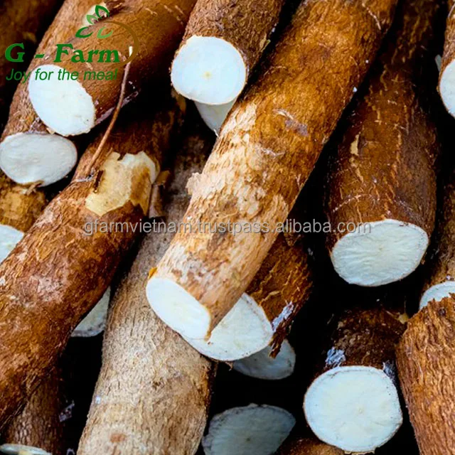 
Newest crop 2019 cassava flour tapioca with high quality 