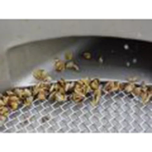 Oyster Seed Sorter