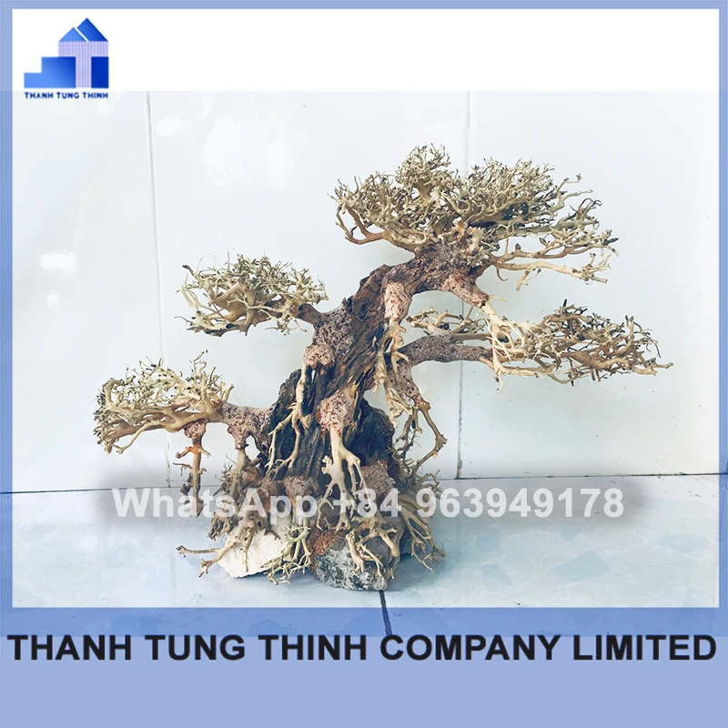 2024 Новинка высококачественные коряги бонсай для аквариума оптом WhatsApp + 84 961005832