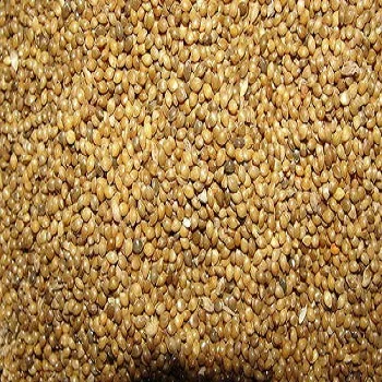 
Best Quality Yellow Millet For Sale 