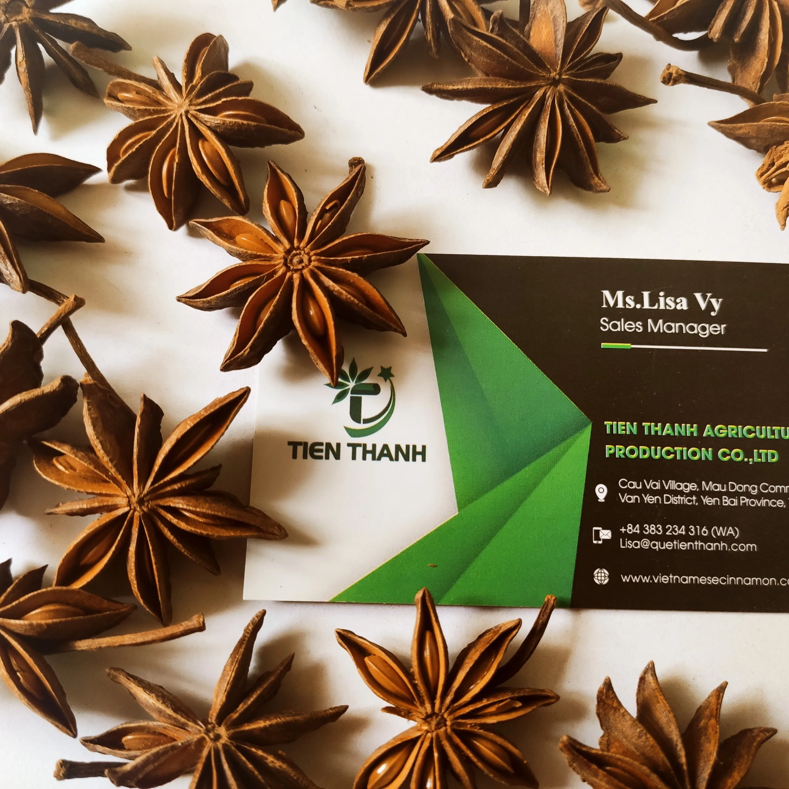 Bunga Lawang Kering/ Star Anis/ Illicium verum extract From Vietnam