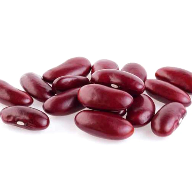  Лучшее качество премиум класса ручная сборка сухих бобов Pinto Beans Ttn экспортная продажа сухие красные зернистые фасоли для продажи