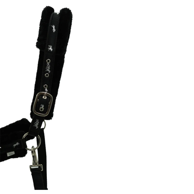 2024 New Latest Design Horse Riding PP Halters Bulk Manufacturer Supplier Buy At Good Price