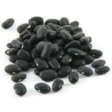 100% Organic Dried Black Kidney Bean Vietnam Top Quality Kidney Bean Dry Black Beans From High Quality Soil