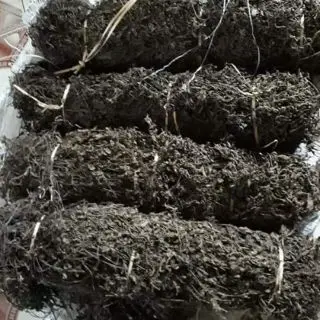 Листья сушеной травы желе // сушеная мезлона китайская для экспорта THOMAS + 84961478592