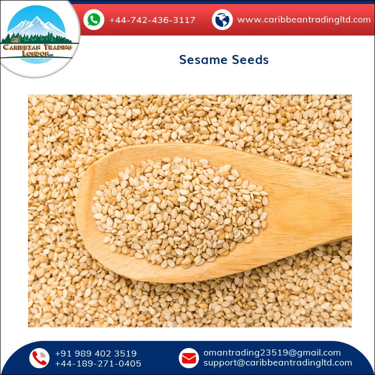 Натуральные белые семена кунжута Sortex Clean по оптовым ценам