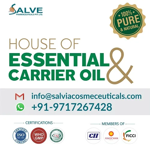 Cornflower Hydrosol 100 % Pure And Natural