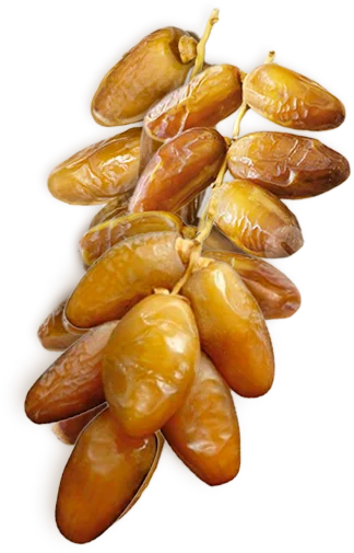 
Dates on Branch , Deglet Noor Dates 1Kg carton 1ST categorie 